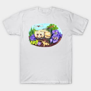 Cat Nap T-Shirt